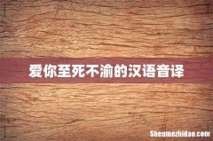 爱你至死不渝的汉语音译