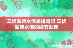 三伏贴起水泡是排毒吗 三伏贴起水泡的细节处理