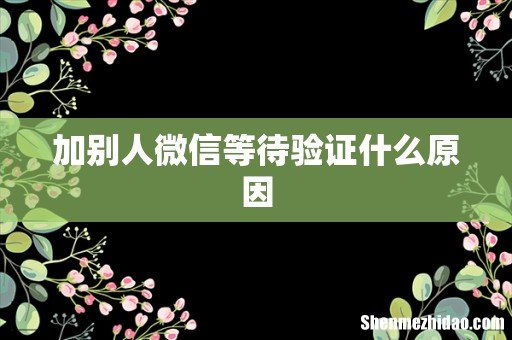加别人微信等待验证什么原因