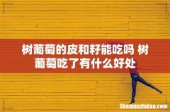 树葡萄的皮和籽能吃吗 树葡萄吃了有什么好处