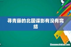 寻青藤的北国谍影有没有完结