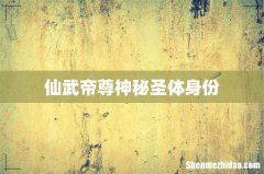 仙武帝尊神秘圣体身份