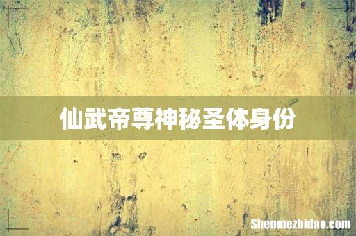 仙武帝尊神秘圣体身份