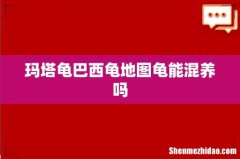 玛塔龟巴西龟地图龟能混养吗