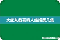 大蛇丸恭喜鸣人结婚第几集