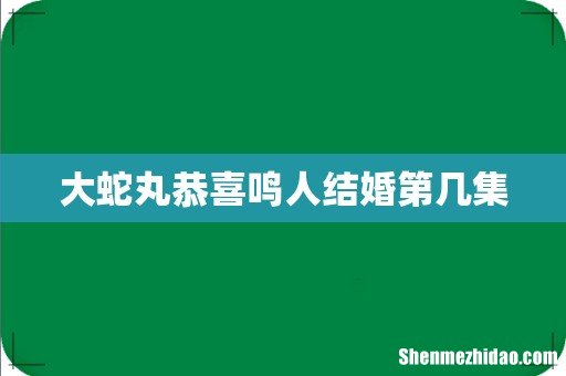 大蛇丸恭喜鸣人结婚第几集