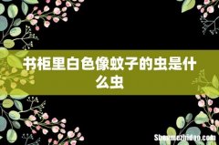 书柜里白色像蚊子的虫是什么虫