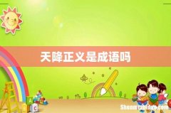 天降正义是成语吗