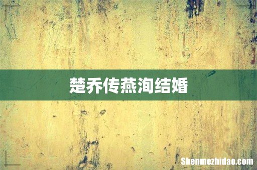 楚乔传燕洵结婚