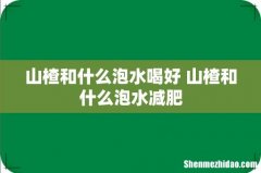 山楂和什么泡水喝好 山楂和什么泡水减肥