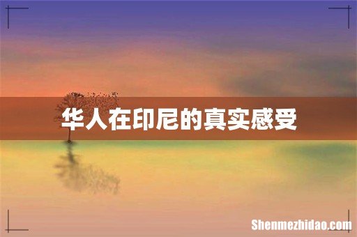 华人在印尼的真实感受