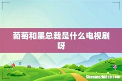 葡萄和墨总裁是什么电视剧呀