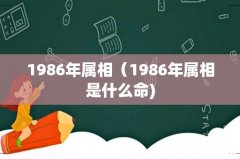 1986年属相（1986年属相是什么命)