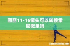 图丽11-16镜头可以转接索尼微单吗