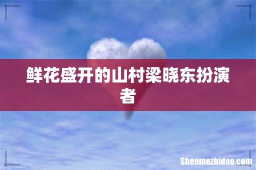鲜花盛开的山村梁晓东扮演者