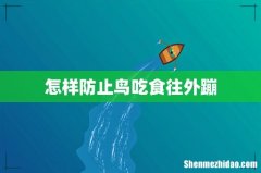 怎样防止鸟吃食往外蹦