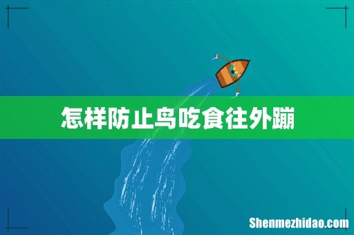 怎样防止鸟吃食往外蹦