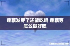 莲藕发芽了还能吃吗 莲藕芽怎么做好吃