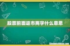 股票前面退市两字什么意思