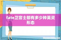 fate卫宫士郎有多少种英灵形态