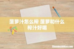 菠萝汁怎么榨 菠萝和什么榨汁好喝