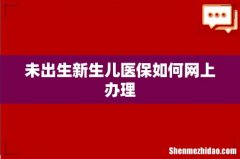未出生新生儿医保如何网上办理