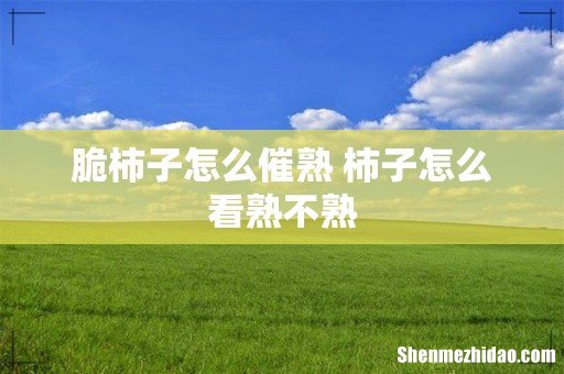 脆柿子怎么催熟 柿子怎么看熟不熟