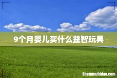 9个月婴儿买什么益智玩具