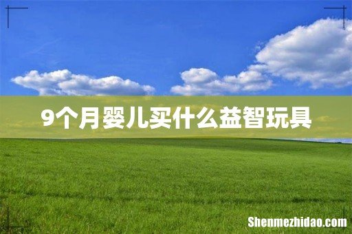 9个月婴儿买什么益智玩具