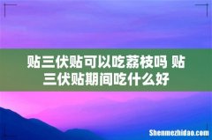 贴三伏贴可以吃荔枝吗 贴三伏贴期间吃什么好
