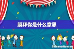 膜拜你是什么意思