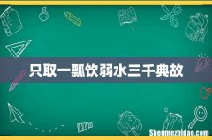 只取一瓢饮弱水三千典故