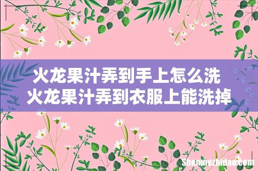 火龙果汁弄到手上怎么洗 火龙果汁弄到衣服上能洗掉吗