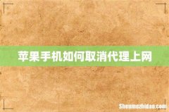 苹果手机如何取消代理上网