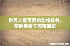 世界上最可爱的动物排名，萌到你看了想带回家