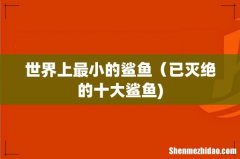 世界上最小的鲨鱼（已灭绝的十大鲨鱼)