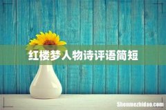 红楼梦人物诗评语简短