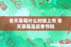 冬天草莓什么时候上市 冬天草莓是反季节吗