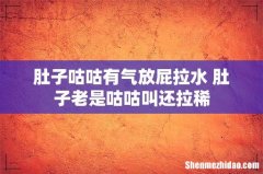 肚子咕咕有气放屁拉水 肚子老是咕咕叫还拉稀