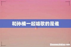 和孙楠一起唱歌的是谁