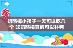 奶酪棒小孩子一天可以吃几个 吃奶酪棒真的可以补钙吗