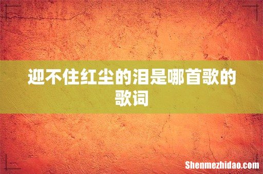 迎不住红尘的泪是哪首歌的歌词