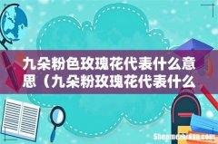 九朵粉玫瑰花代表什么意思 九朵粉色玫瑰花代表什么意思