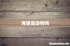 海坡是动物吗