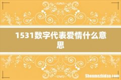 1531数字代表爱情什么意思