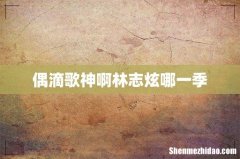 偶滴歌神啊林志炫哪一季