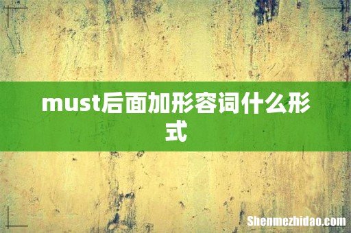 must后面加形容词什么形式