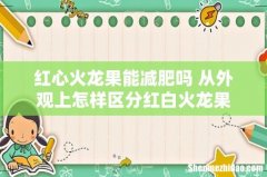红心火龙果能减肥吗 从外观上怎样区分红白火龙果