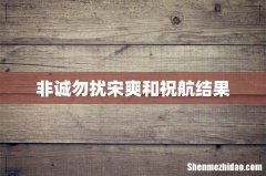 非诚勿扰宋爽和祝航结果