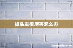 掉头发很厉害怎么办